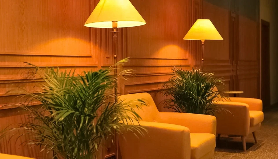 هتل پاین آستوریا تفلیس